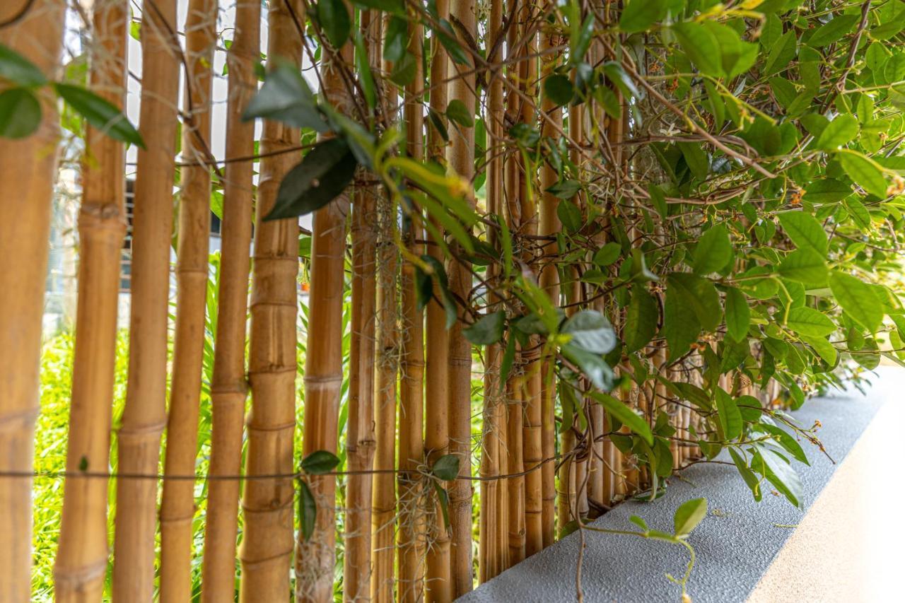 Ilha Natura 桑塔纳 外观 照片